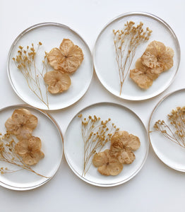 Sepia Soul | Coasters
