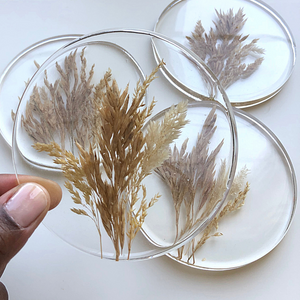 Meadows | Coasters